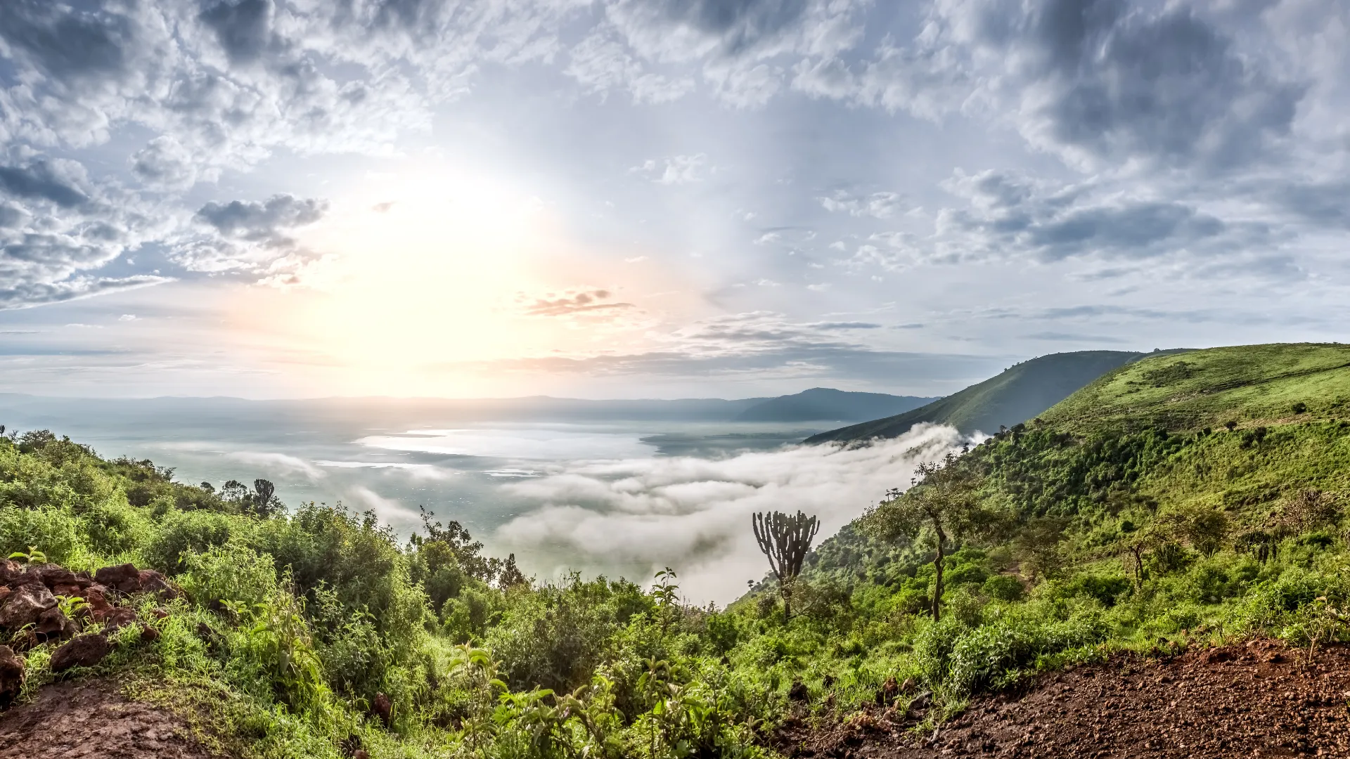 3-Day Midrange Ngorongoro & Tarangire Safari