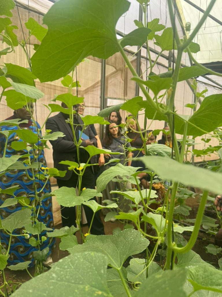 Greenhouse Farming Tours