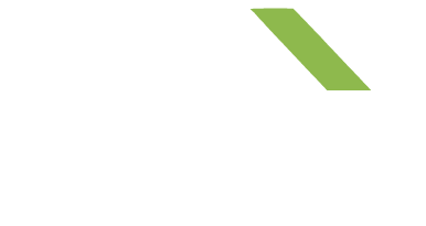 Mshele Adventures & Safaris