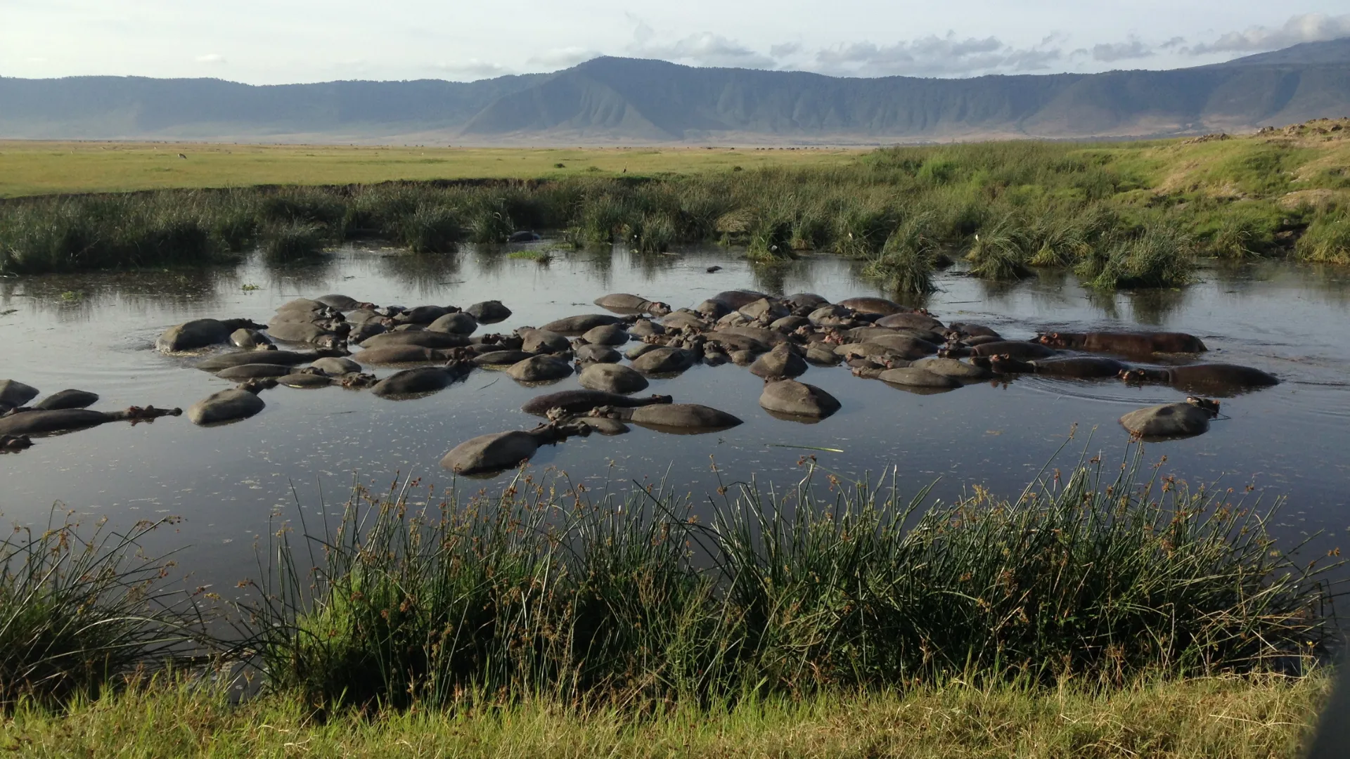 2-Day Budget Ngorongoro Crater Safari
